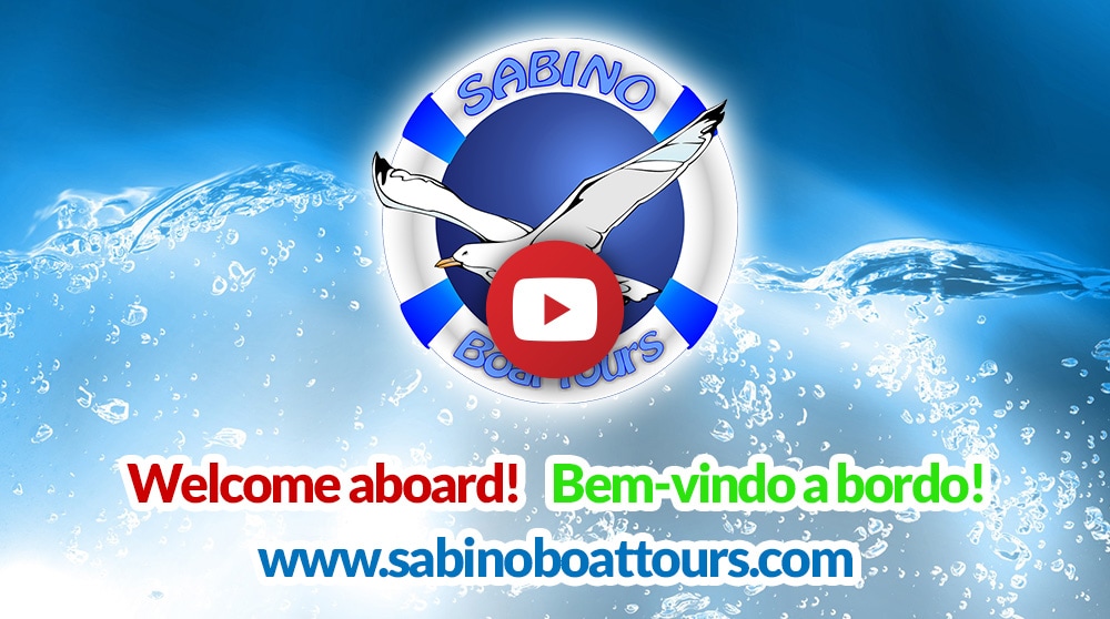 Sabino Boat Tours - Promo Video